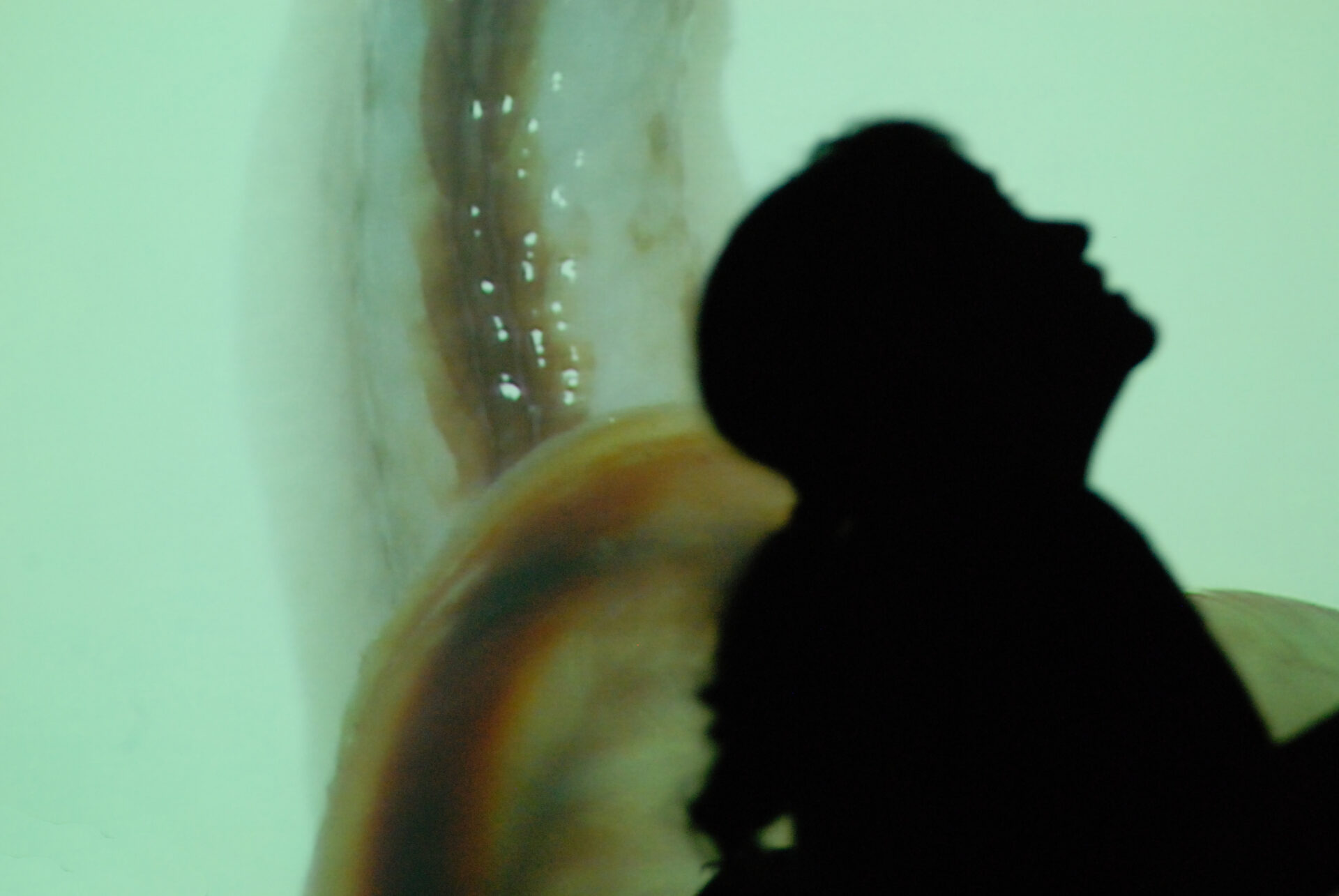 MAU2029 | 武蔵野美術大学100周年ウェブマガジン